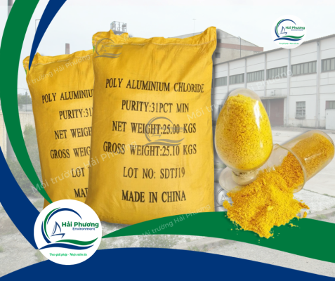 PAC vàng nghệ 31%