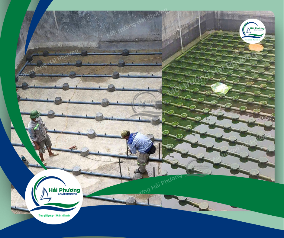 xây dựng bể XLNT