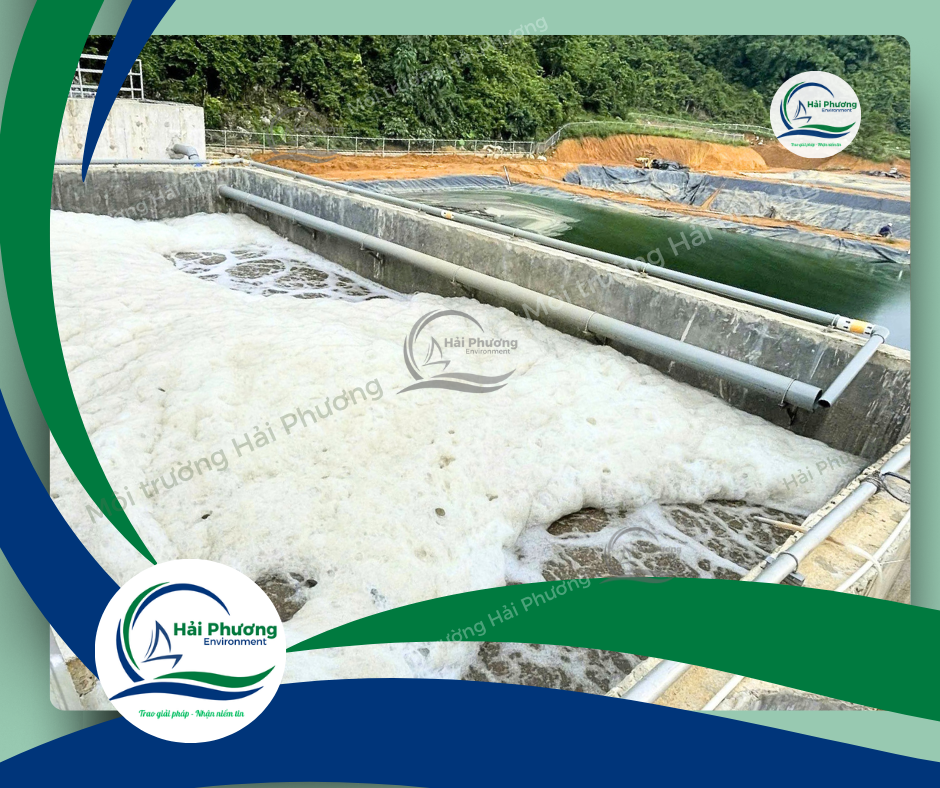 hệ thống xử lý nước thải tại trại heo CLC