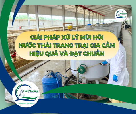 XỬ LÝ MÙI HÔI NƯỚC THẢI TRANG TRẠI CHĂN NUÔI GIA CẦM