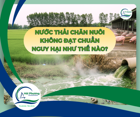 Nước thải chăn nuôi không đạt chuẩn