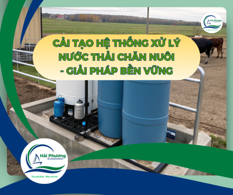 Cải Tạo Hệ Thống Xử Lý Nước Thải Chăn Nuôi