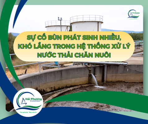 Xử Lý Sự Cố Bùn Phát Sinh Nhiều, Khó Lắng Trong Hệ Thống Xử Lý Nước Thải Chăn Nuôi Hiệu Quả