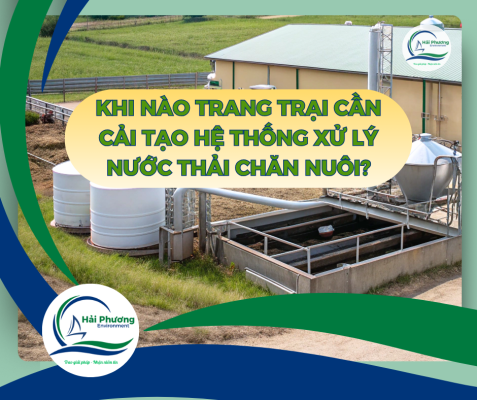 KHI NÀO TRANG TRẠI CẦN CẢI TẠO HỆ THỐNG XỬ LÝ NƯỚC THẢI CHĂN NUÔI?